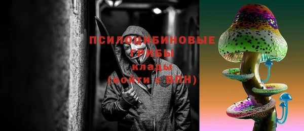 шишки Куйбышев