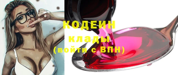 шишки Куйбышев