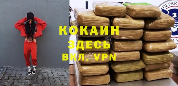 шишки Куйбышев